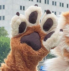 Biscoff&#39;s Paws
